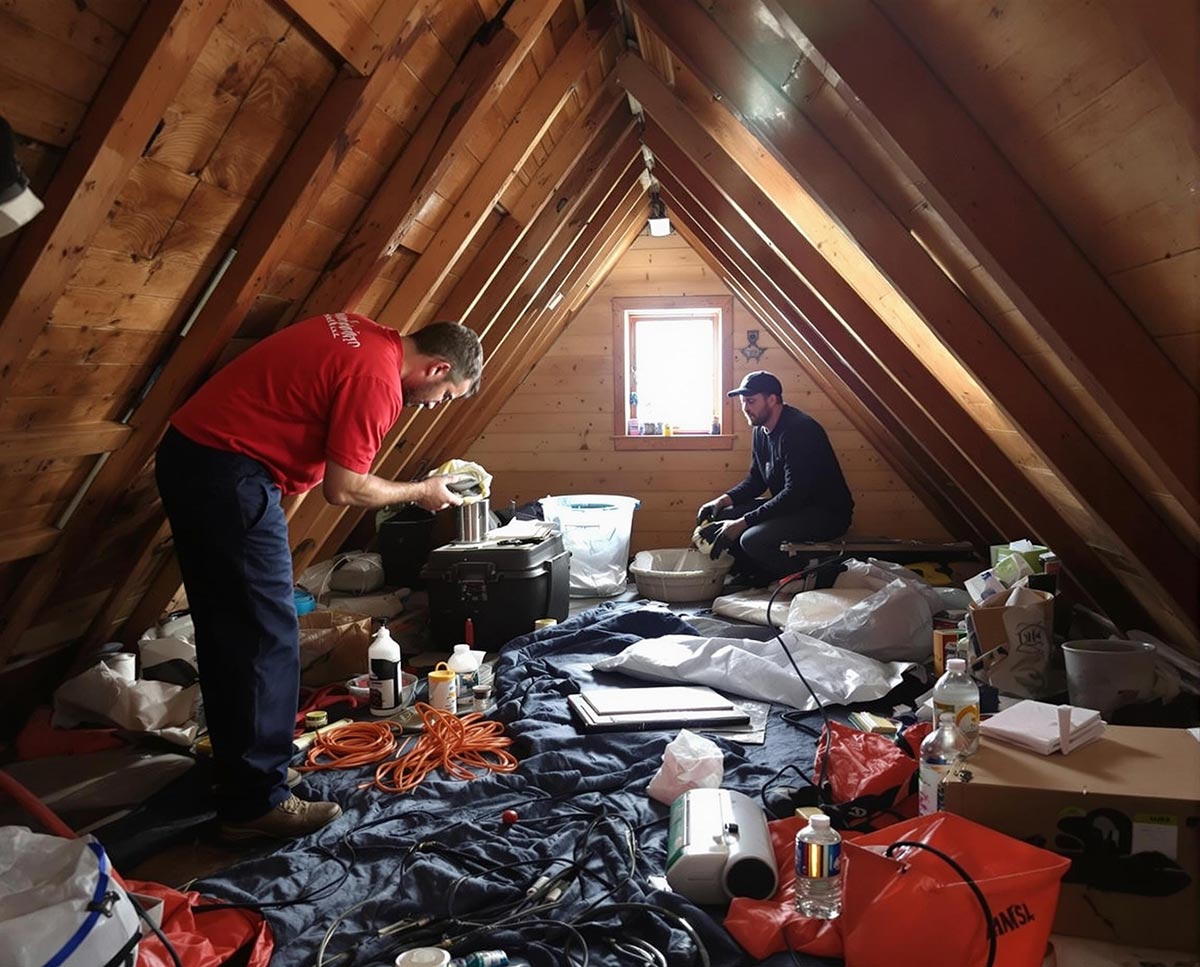 Attic Cleanout Hughesville MD